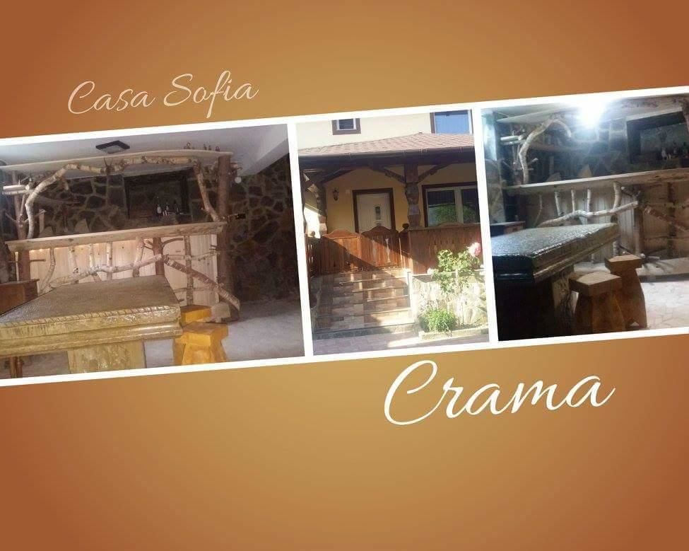 Гостевой дом Casa Sofia Вама-14